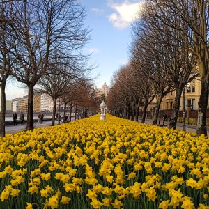 paseo de francia