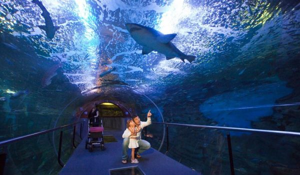 Aquarium Donostia