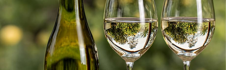 Variedad y textura del vino Txacoli