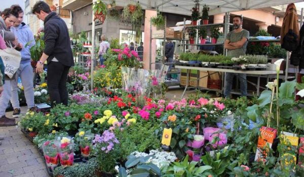 Los mejores mercadillos de San Sebastián