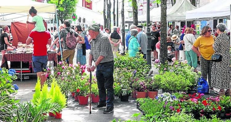 Flower and Plant Market